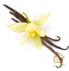 | Натяжной потолок с фотопечатью кухня Натяжной потолок с фотопечатью Кухня 017