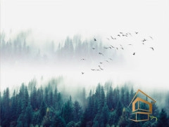 | Натяжной потолок с фотопечатью стены Натяжной потолок с фотопечатью Стены 020