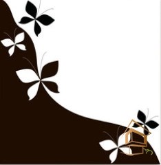 | Натяжной потолок с фотопечатью бабочки Натяжной потолок с фотопечатью Бабочки 030