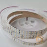 | led лента светодиодная 24, купить светодиодную ленту 24 вт, светодиодная лента 5 мм 24 в Светодиодная лента 24 V, двухрядная 4000 К, (25 Вт), 320 диодов на метр (5 м)