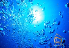 | Натяжной потолок с фотопечатью подводный мир, Натяжной потолок море Натяжной потолок с фотопечатью Подводный мир 046