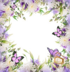 | Натяжной потолок с фотопечатью бабочки Натяжной потолок с фотопечатью Бабочки 002