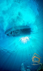 | Натяжной потолок с фотопечатью подводный мир, Натяжной потолок море Натяжной потолок с фотопечатью Подводный мир 054