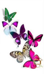 | Натяжной потолок с фотопечатью бабочки Натяжной потолок с фотопечатью Бабочки 004