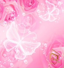 | Натяжной потолок с фотопечатью бабочки Натяжной потолок с фотопечатью Бабочки 006