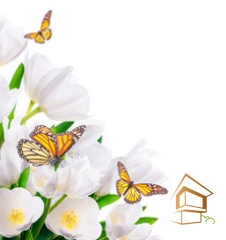 | Натяжной потолок с фотопечатью бабочки Натяжной потолок с фотопечатью Бабочки 007