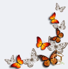 | Натяжной потолок с фотопечатью бабочки Натяжной потолок с фотопечатью Бабочки 008