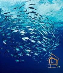 | Натяжной потолок с фотопечатью подводный мир, Натяжной потолок море Натяжной потолок с фотопечатью Подводный мир 059