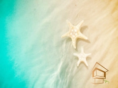 | Натяжной потолок с фотопечатью подводный мир, Натяжной потолок море Натяжной потолок с фотопечатью Подводный мир 061