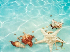 | Натяжной потолок с фотопечатью подводный мир, Натяжной потолок море Натяжной потолок с фотопечатью Подводный мир 062