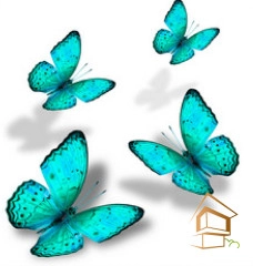 | Натяжной потолок с фотопечатью бабочки Натяжной потолок с фотопечатью Бабочки 017