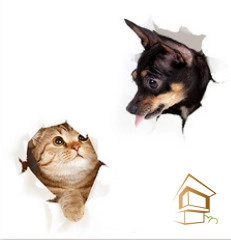 | Натяжной потолок с фотопечатью животный мир Натяжной потолок с фотопечатью Животный мир 024