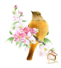 | Натяжной потолок с фотопечатью животный мир Натяжной потолок с фотопечатью Животный мир 026