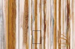 | Натяжной потолок с фотопечатью текстуры-дерево, Натяжной потолок под дерево Натяжной потолок с фотопечатью Текстуры-дерево 027