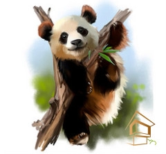 | Натяжной потолок с фотопечатью животный мир Натяжной потолок с фотопечатью Животный мир 027