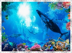 | Натяжной потолок с фотопечатью подводный мир, Натяжной потолок море Натяжной потолок с фотопечатью Подводный мир 004