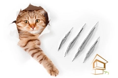 | Натяжной потолок с фотопечатью животный мир Натяжной потолок с фотопечатью Животный мир 002