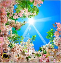 | Натяжной потолок с фотопечатью небо и объекты Натяжной потолок с фотопечатью Небо и объекты 012