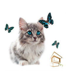 | Натяжной потолок с фотопечатью животный мир Натяжной потолок с фотопечатью Животный мир 006