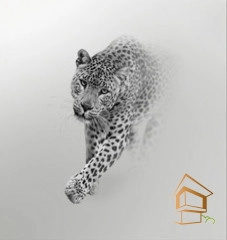 | Натяжной потолок с фотопечатью животный мир Натяжной потолок с фотопечатью Животный мир 007