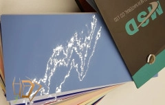 | цветные натяжные потолки, белые цветные потолки натяжные, каталог цветных натяжных потолков, купить натяжной потолок цветной потолки, натяжной потолок цветной матовый, натяжные потолки цветные с рисунком, цветное полотно для натяжных потолков, цветной натяжной потолок цена Натяжной потолок MSD Premium лак цвет 114 (320)