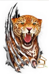 | Натяжной потолок с фотопечатью животный мир Натяжной потолок с фотопечатью Животный мир 008