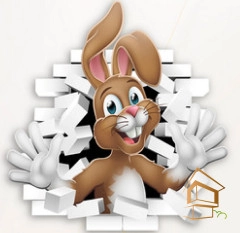 | Натяжной потолок с фотопечатью детский ART, Натяжной потолок в детскую Натяжной потолок с фотопечатью Детский ART 051