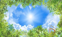 | Натяжной потолок с фотопечатью небо и объекты Натяжной потолок с фотопечатью Небо и объекты 020