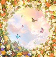 | Натяжной потолок с фотопечатью небо и объекты Натяжной потолок с фотопечатью Небо и объекты 021