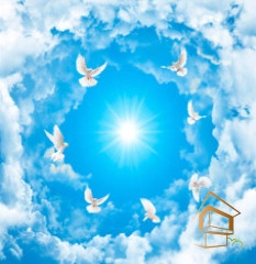 | Натяжной потолок с фотопечатью небо и объекты Натяжной потолок с фотопечатью Небо и объекты 023