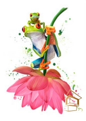 | Натяжной потолок с фотопечатью животный мир Натяжной потолок с фотопечатью Животный мир 014