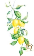 | Натяжной потолок с фотопечатью кухня Натяжной потолок с фотопечатью Кухня 021