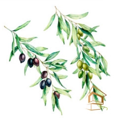 | натяжной потолок, фотопечать, кухня, дизайн, установка, уход, цена, Отзывы Натяжной потолок с фотопечатью Кухня 022