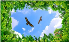 | Натяжной потолок с фотопечатью небо и объекты Натяжной потолок с фотопечатью Небо и объекты 029