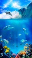 | Натяжной потолок с фотопечатью подводный мир, Натяжной потолок море Натяжной потолок с фотопечатью Подводный мир 015