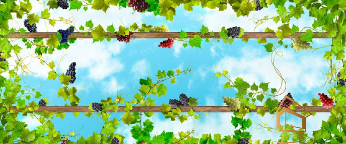 | натяжной потолок, фотопечать, кухня, дизайн, долговечность, монтаж, цена Натяжной потолок с фотопечатью Кухня 001 -  - 