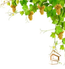 | Натяжной потолок с фотопечатью кухня Натяжной потолок с фотопечатью Кухня 003